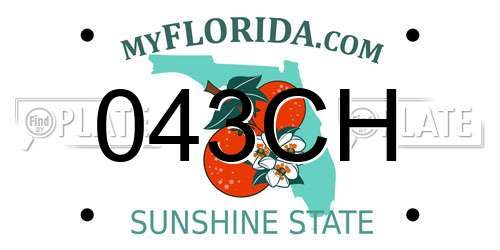 043CH Florida License Plate