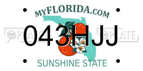 043HJJ Florida License Plate