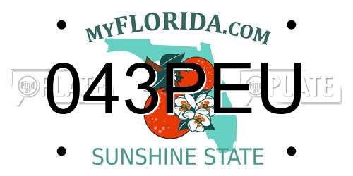 043PEU Florida License Plate