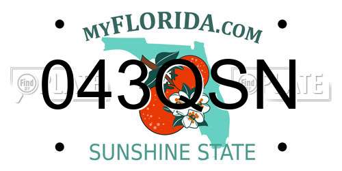 043QSN Florida License Plate