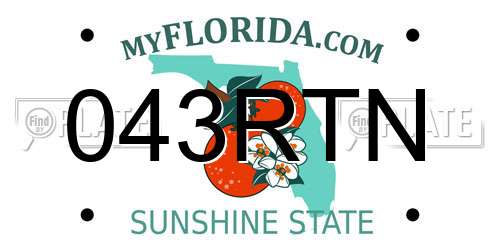 043RTN Florida License Plate