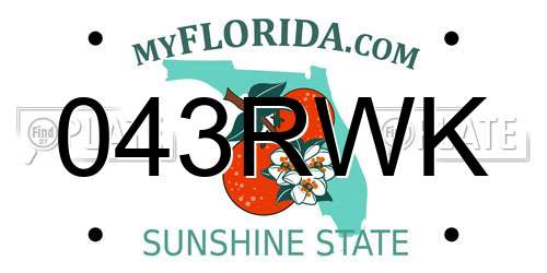 043RWK Florida License Plate