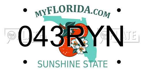 043RYN Florida License Plate