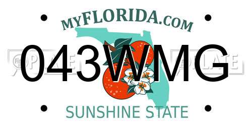 043WMG Florida License Plate