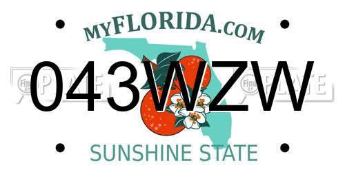 043WZW Florida License Plate