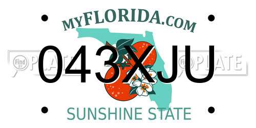 043XJU Florida License Plate