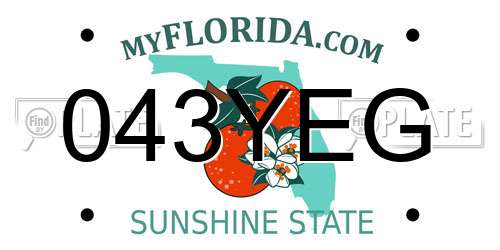 043YEG Florida License Plate
