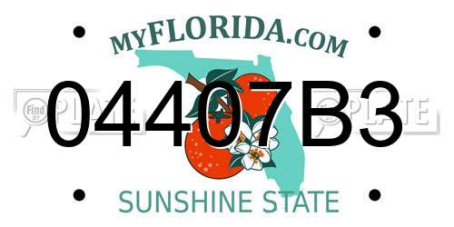 04407B3 Florida License Plate