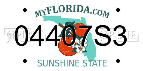 04407S3 Florida License Plate