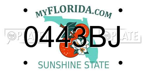 0443BJ Florida License Plate