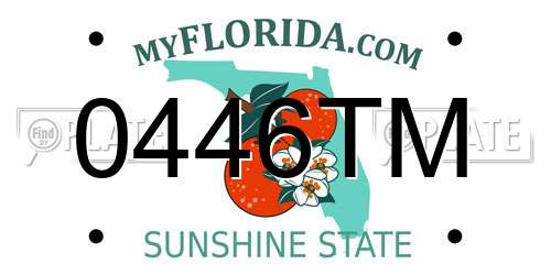 0446TM Florida License Plate