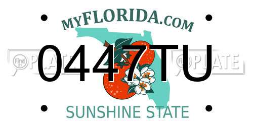 0447TU Florida License Plate