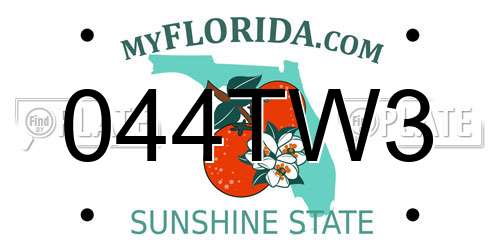 044TW3 Florida License Plate