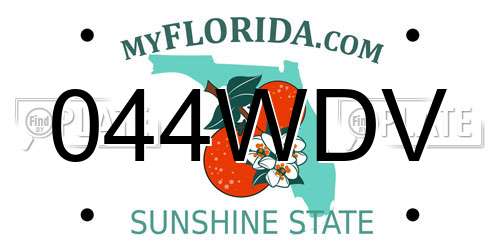 044WDV Florida License Plate