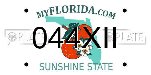 044XII Florida License Plate