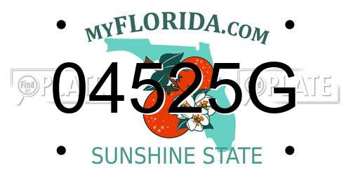 04525G Florida License Plate
