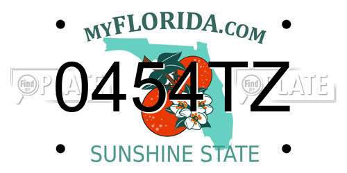 0454TZ Florida License Plate