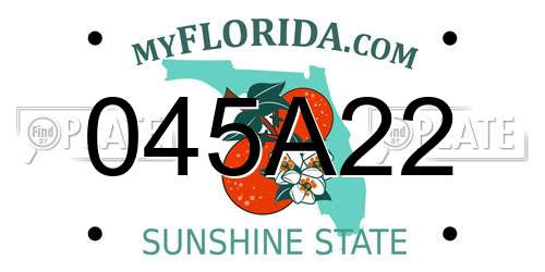 045A22 Florida License Plate
