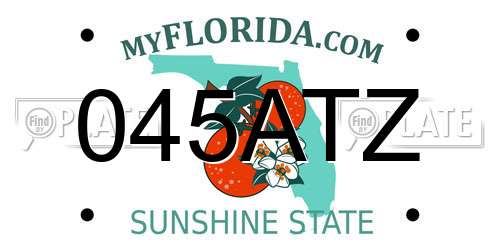 045ATZ Florida License Plate