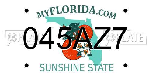 045AZ7 Florida License Plate