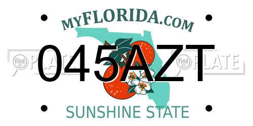 045AZT Florida License Plate