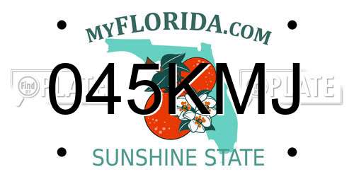 045KMJ Florida License Plate
