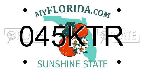 045KTR Florida License Plate