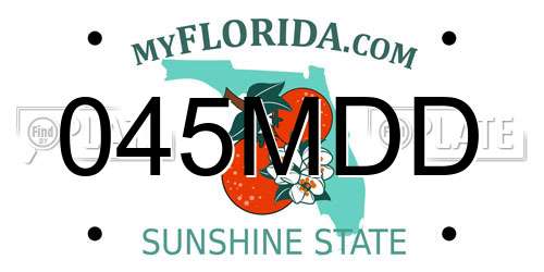 045MDD Florida License Plate