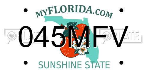 045MFV Florida License Plate
