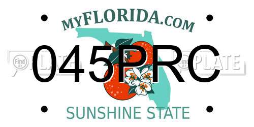 045PRC Florida License Plate