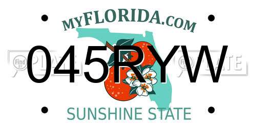 045RYW Florida License Plate