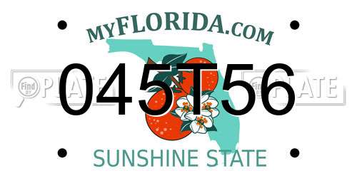 045T56 Florida License Plate