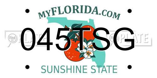 045TSG Florida License Plate
