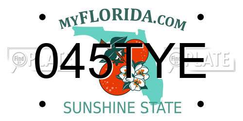 045TYE Florida License Plate
