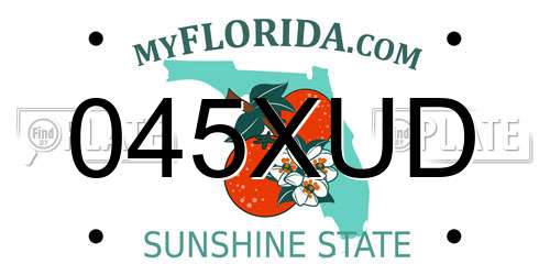 045XUD Florida License Plate