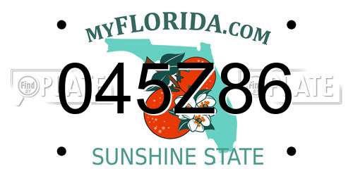 045Z86 Florida License Plate