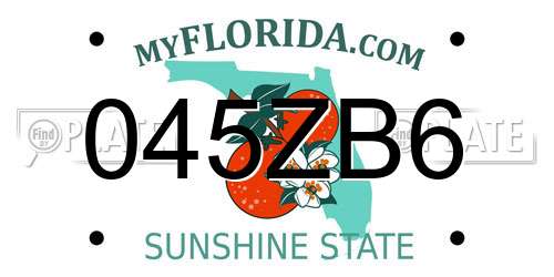 045ZB6 Florida License Plate