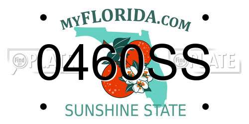 0460SS Florida License Plate