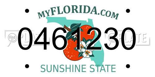 0461230 Florida License Plate