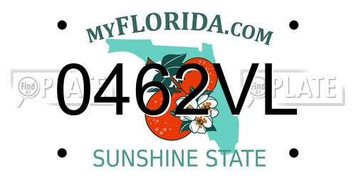 0462VL Florida License Plate