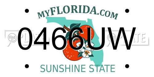 0466UW Florida License Plate