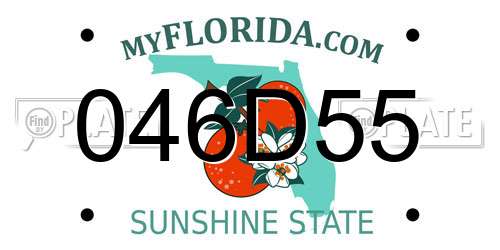 046D55 Florida License Plate
