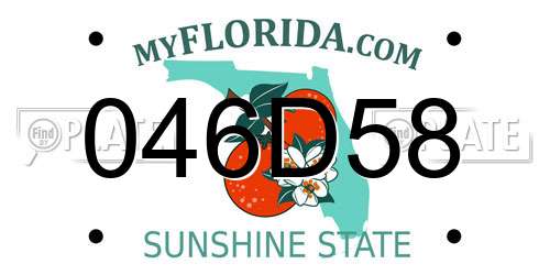 046D58 Florida License Plate