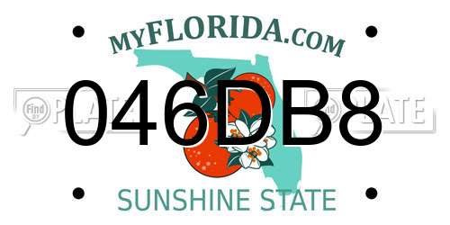 046DB8 Florida License Plate