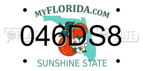 046DS8 Florida License Plate