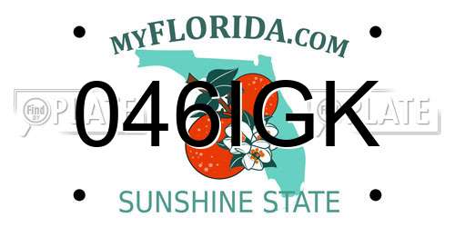 046IGK Florida License Plate