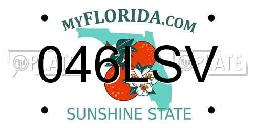 046LSV Florida License Plate
