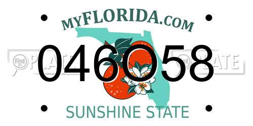046O58 Florida License Plate