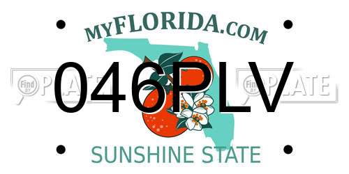 046PLV Florida License Plate