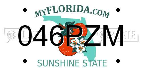 046PZM Florida License Plate
